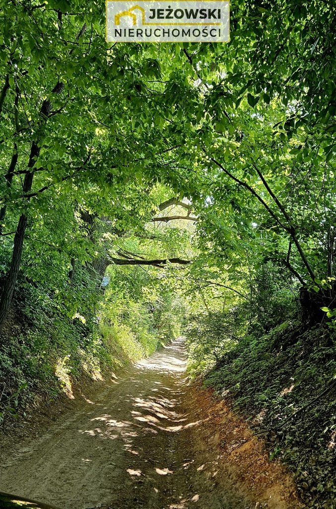 Działka budowlana na sprzedaż Kazimierz Dolny, Jeziorszczyzna  5 144m2 Foto 6