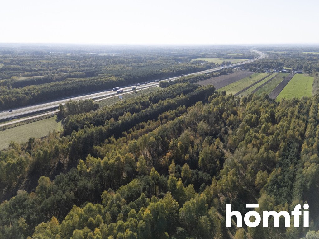 Działka inna na sprzedaż Kacprowice  4 100m2 Foto 6