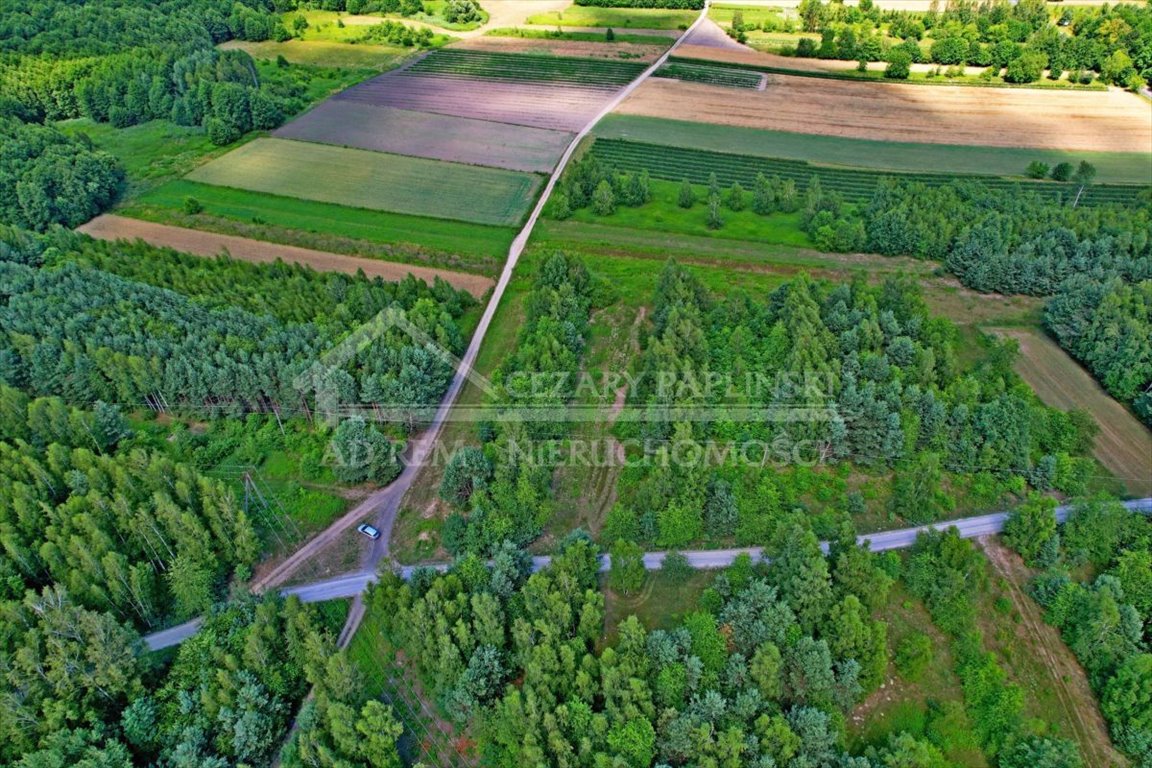 Działka rolna na sprzedaż Uściąż, Uściąż  35 000m2 Foto 5