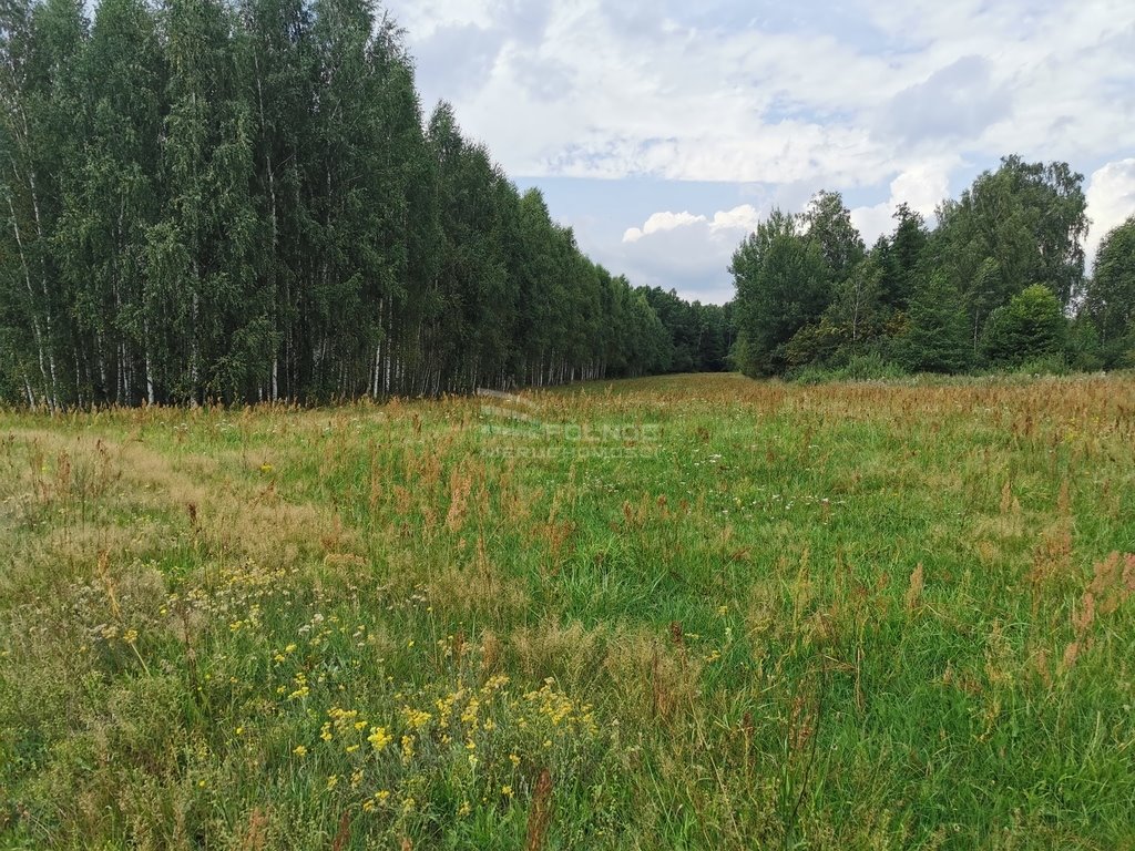 Działka rolna na sprzedaż Królowe Stojło  8 500m2 Foto 18