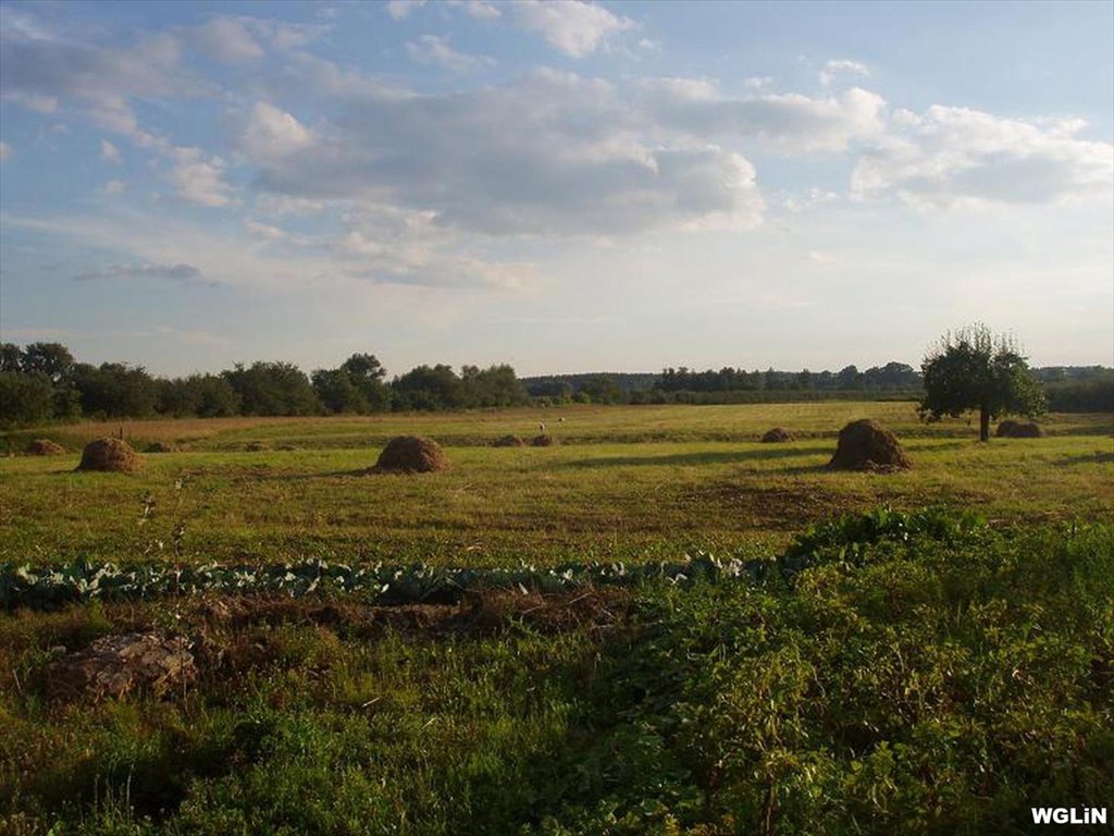 Działka rolna na sprzedaż Podłęcze, Podłęcze  3 553m2 Foto 1