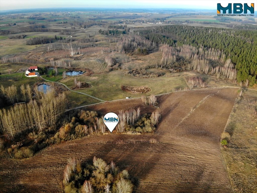 Działka budowlana na sprzedaż Wyłudy, Wyłudy  38 864m2 Foto 10