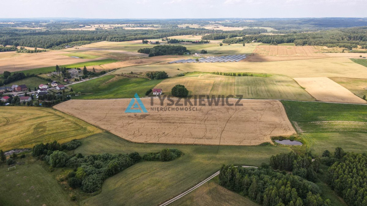 Działka rolna na sprzedaż Szczodrowo  38 300m2 Foto 8