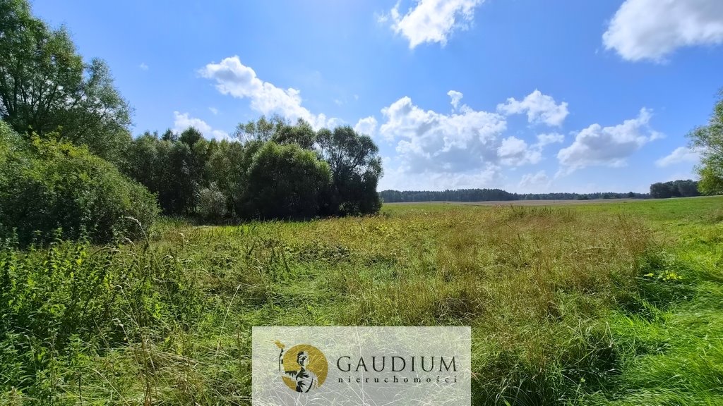 Sprzedam działkę 3100 m² w Kiersinach - idealna na wymarzony dom Kiersiny  3 100m2 Foto 1