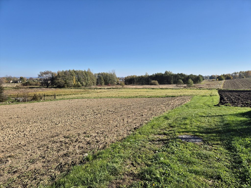 Działka budowlana na sprzedaż Długie  2 532m2 Foto 10