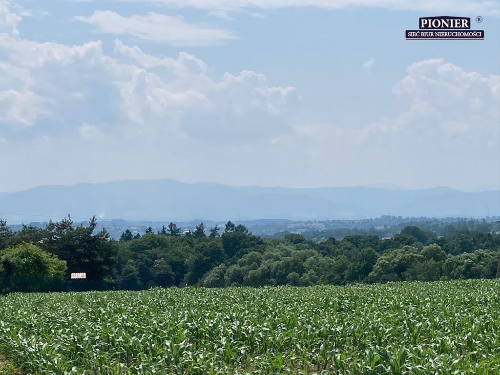 Działka budowlana na sprzedaż Zamarski  14 886m2 Foto 1