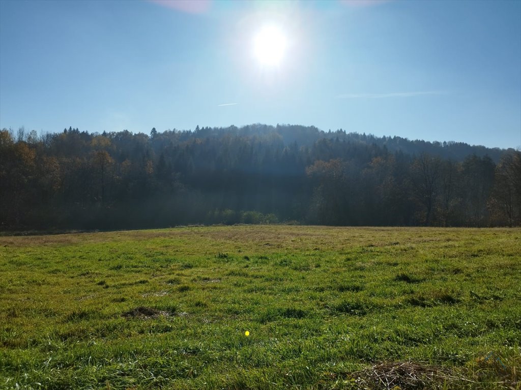 Działka budowlana na sprzedaż Kobylec  1 527m2 Foto 2