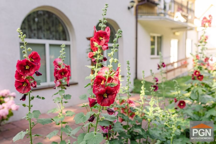 Dworek z 2007 r. blisko plaży, 21 pokoi, ogród Pobierowo, Morska  517m2 Foto 1