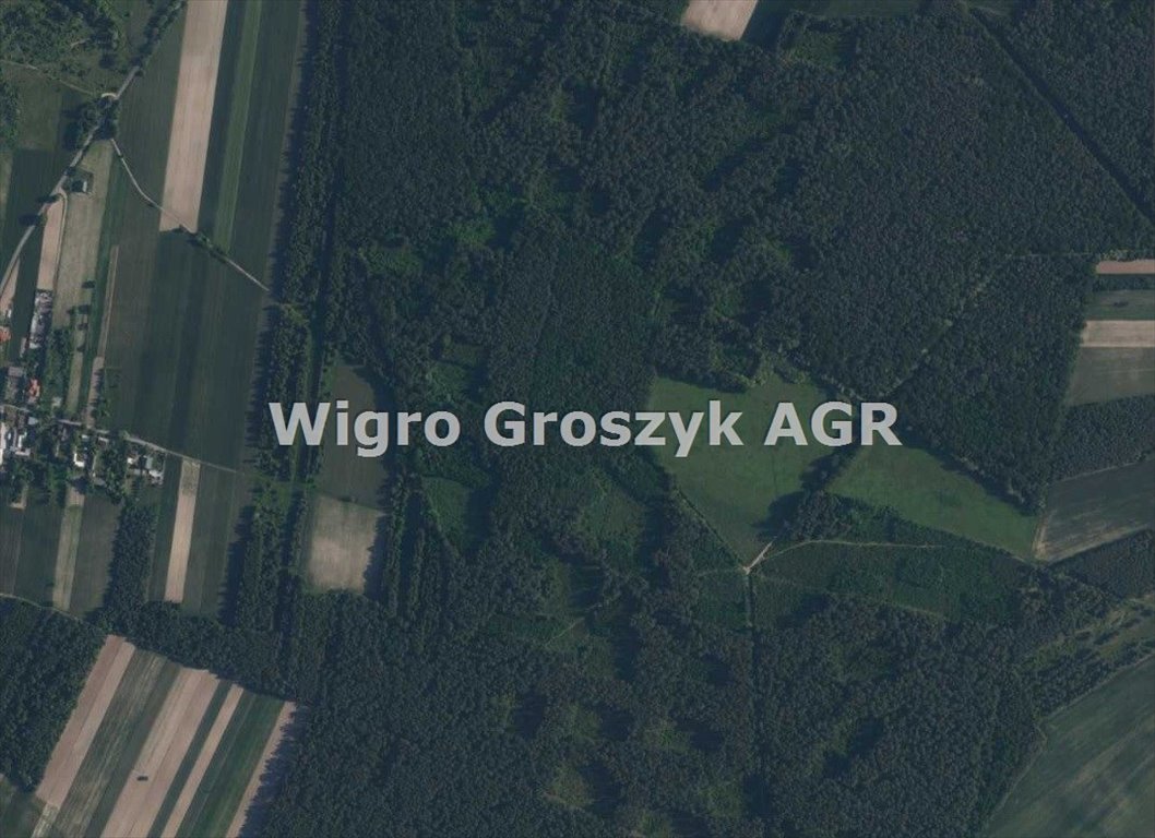 Do sprzedania działka rolna 5,97 ha z lasem i mediami Błogosławie  59 700m2 Foto 1