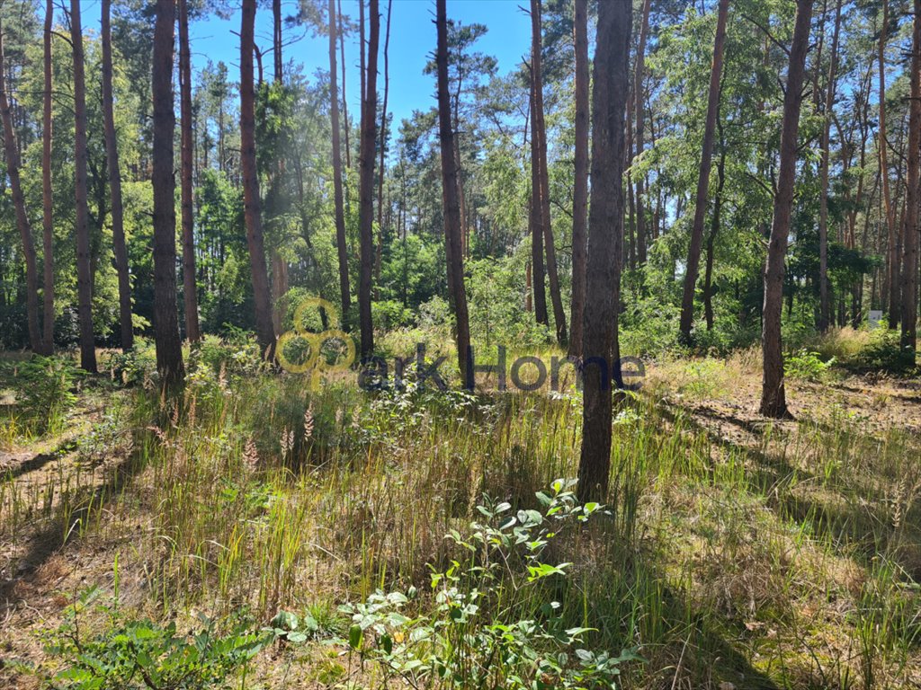 Działka rekreacyjna na sprzedaż Żelazno  906m2 Foto 3