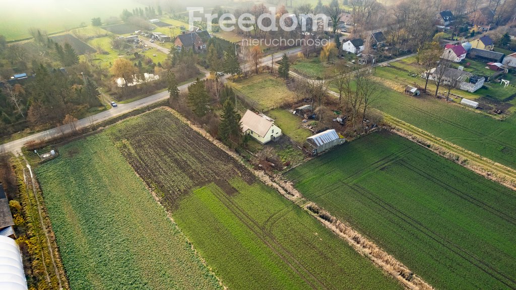 Działka budowlana na sprzedaż Leszkowy  4 003m2 Foto 13