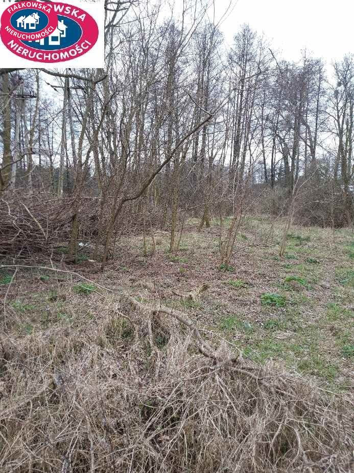 Działka budowlana na sprzedaż Waleriany  5 500m2 Foto 2