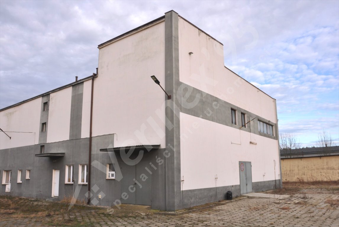 Lokal użytkowy na sprzedaż Góra  2 100m2 Foto 10