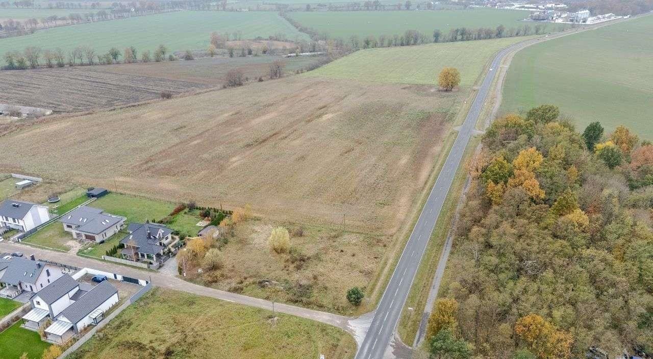 Działka inwestycyjna na sprzedaż Szamotuły  2 700m2 Foto 4