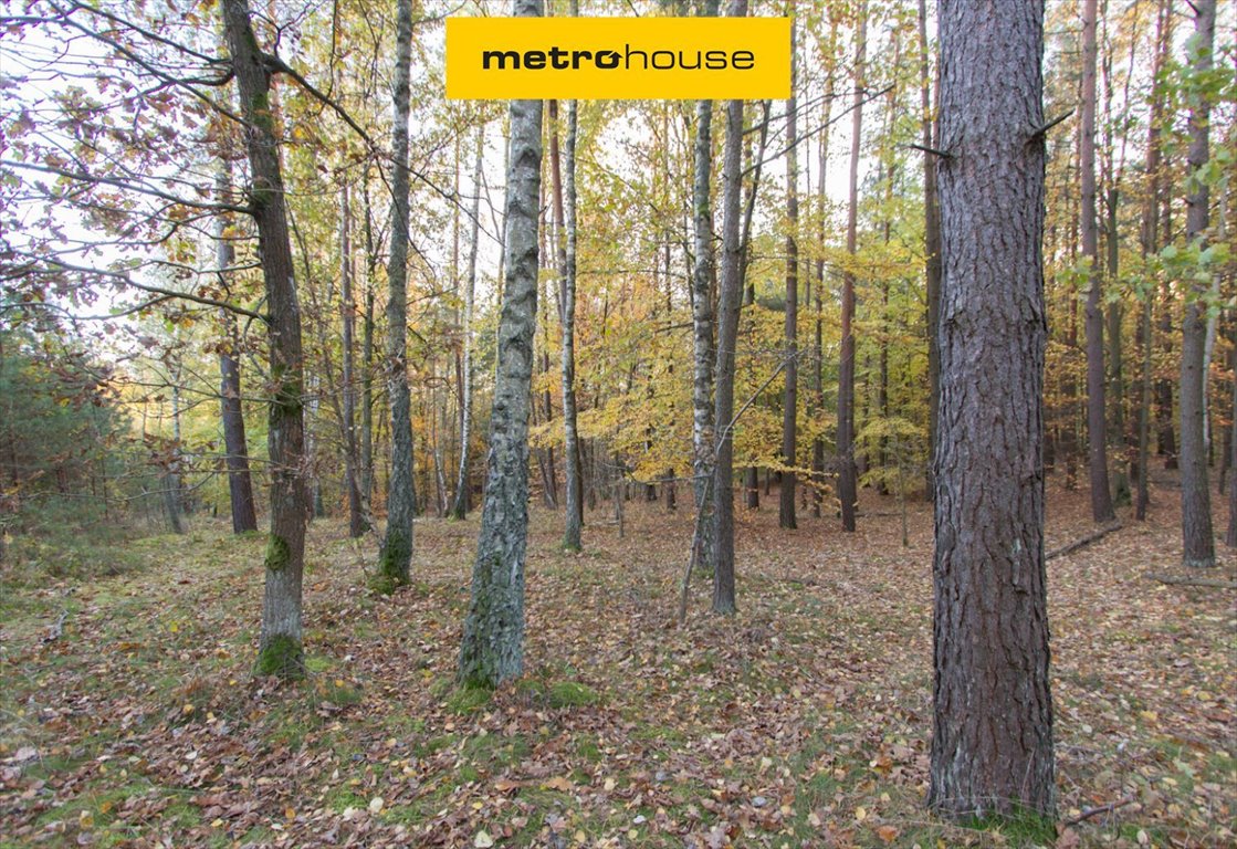 Działka leśna 2,33 ha przy DK20, sosny, jezioro w pobliżu Gwda Wielka, Szczecinecka  23 300m2 Foto 1