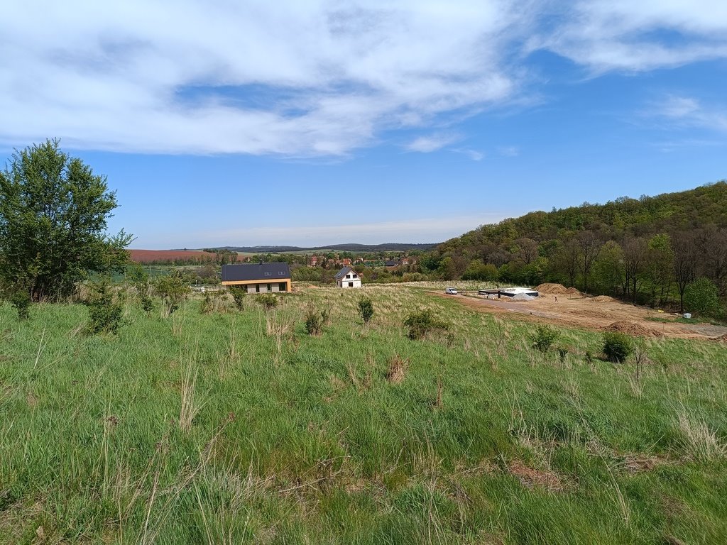 Zapraszam do zakupu działek z widokiem na góry i las w Strudze Struga  1 005m2 Foto 1
