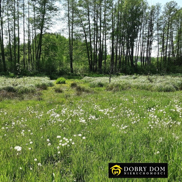 Działka rolna na sprzedaż Złotniki  15 500m2 Foto 2