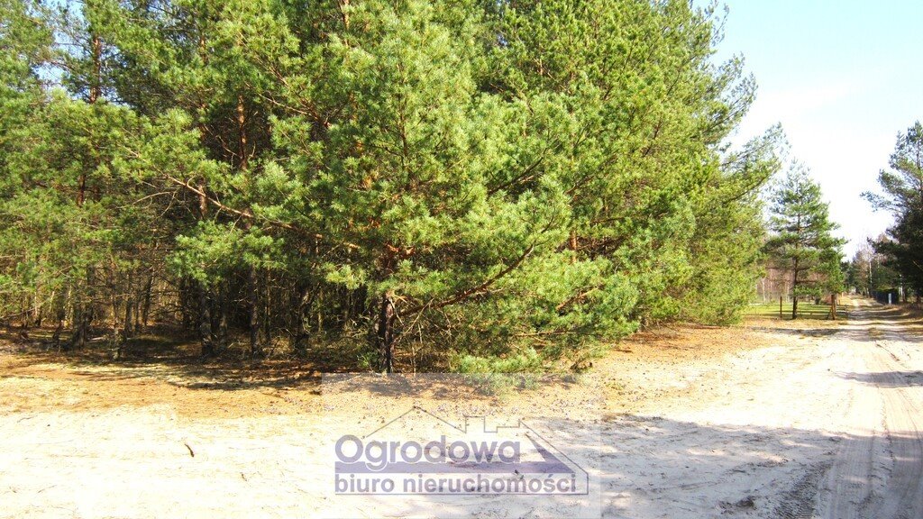 Działka rekreacyjna 2200 m² z mediami, lasem - polecam! Urle  2 200m2 Foto 1