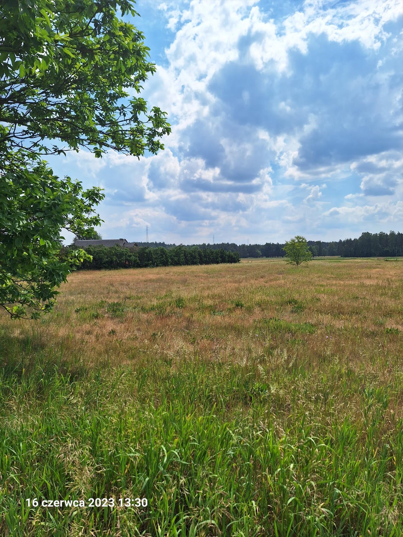 Działka 3467 m² pod zabudowę i usługi w Wielbarku Wielbark  3 467m2 Foto 1