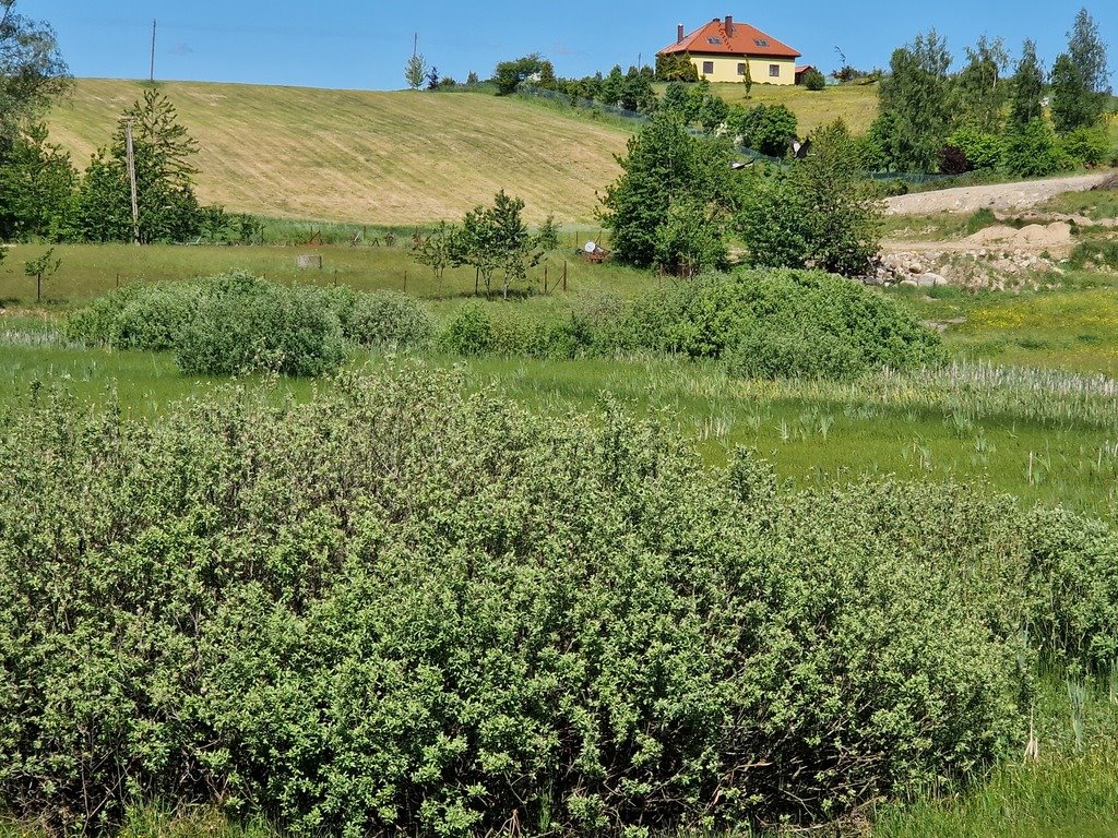 Działka budowlana na sprzedaż Szarłata, Spadzista  15 977m2 Foto 13