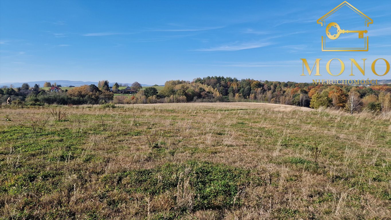 Działka rolna na sprzedaż Korczyna  15 400m2 Foto 15