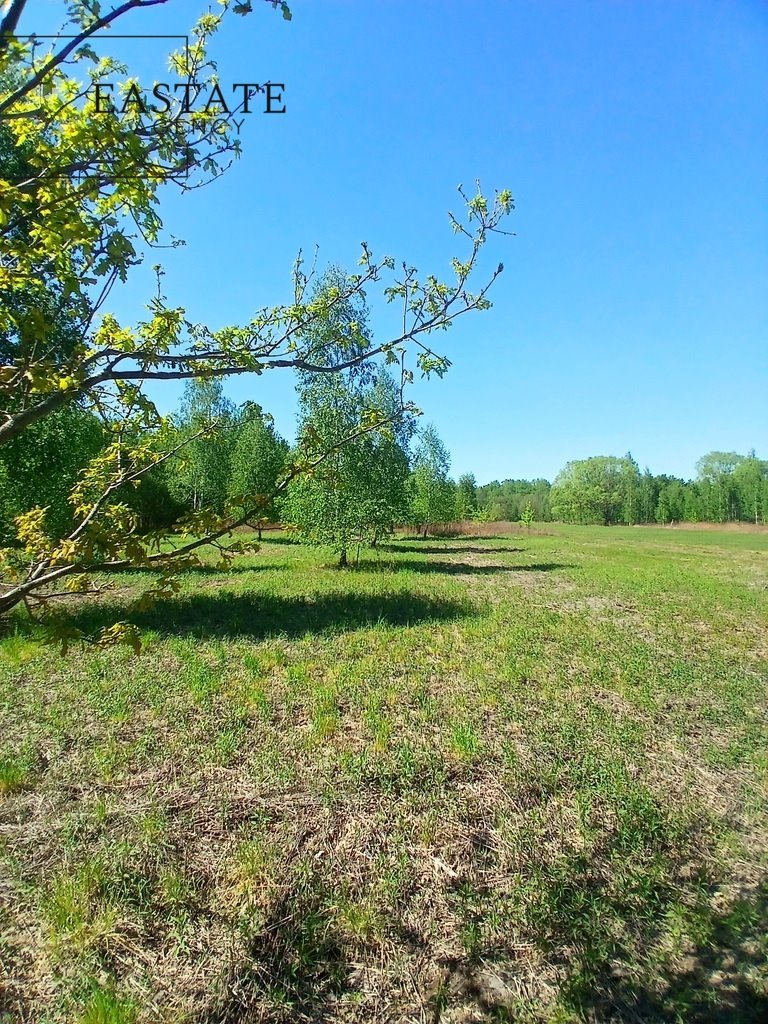 Do sprzedania przestronna działka 1900 m² z lasem i zielenią Koryta  1 165m2 Foto 1