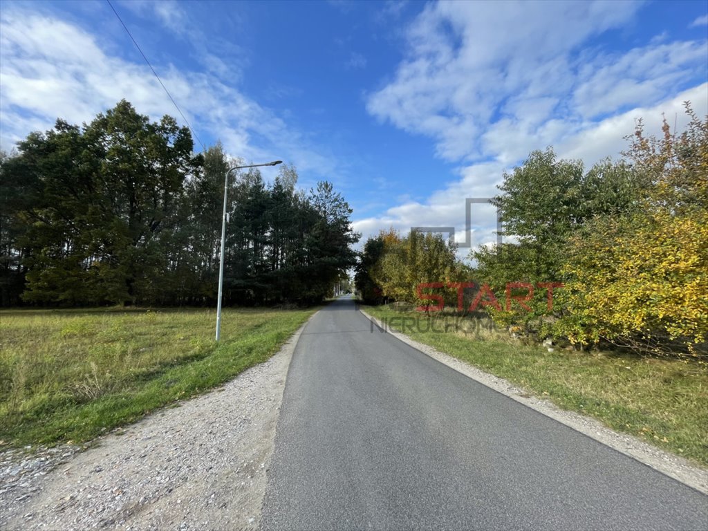 Zdjęcie 6