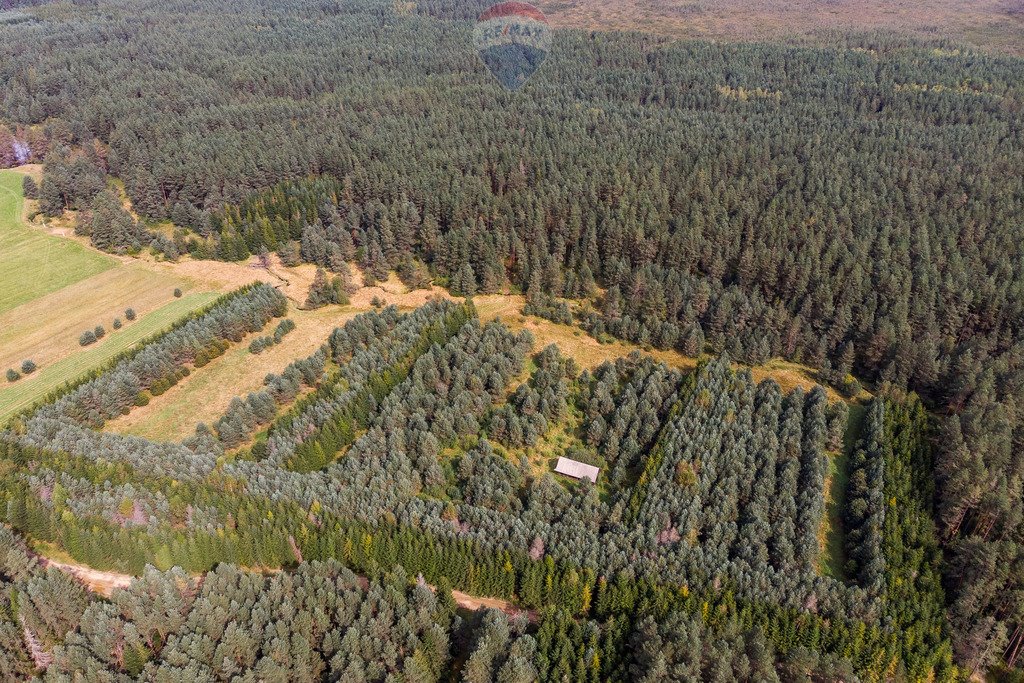 Działka rolna na sprzedaż Jabłonka, Leśna  20 000m2 Foto 5