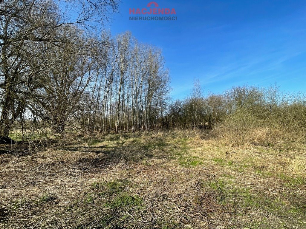 Działka 4800 m² z lasem, pod zabudowę jednorodzinną Trzebież  4 800m2 Foto 1