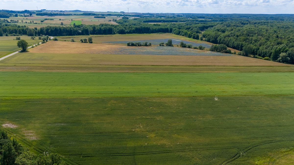 Działka budowlana na sprzedaż Woźniki, Czarny Las, Czarny Las  29 522m2 Foto 6