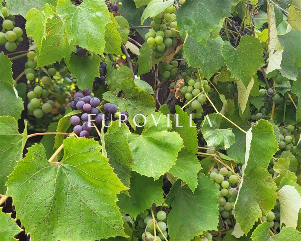 Działka budowlana na sprzedaż Konstancin-Jeziorna  1 500m2 Foto 1