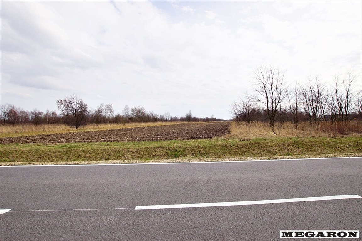 Działka inna na sprzedaż Kościelec  10 033m2 Foto 2