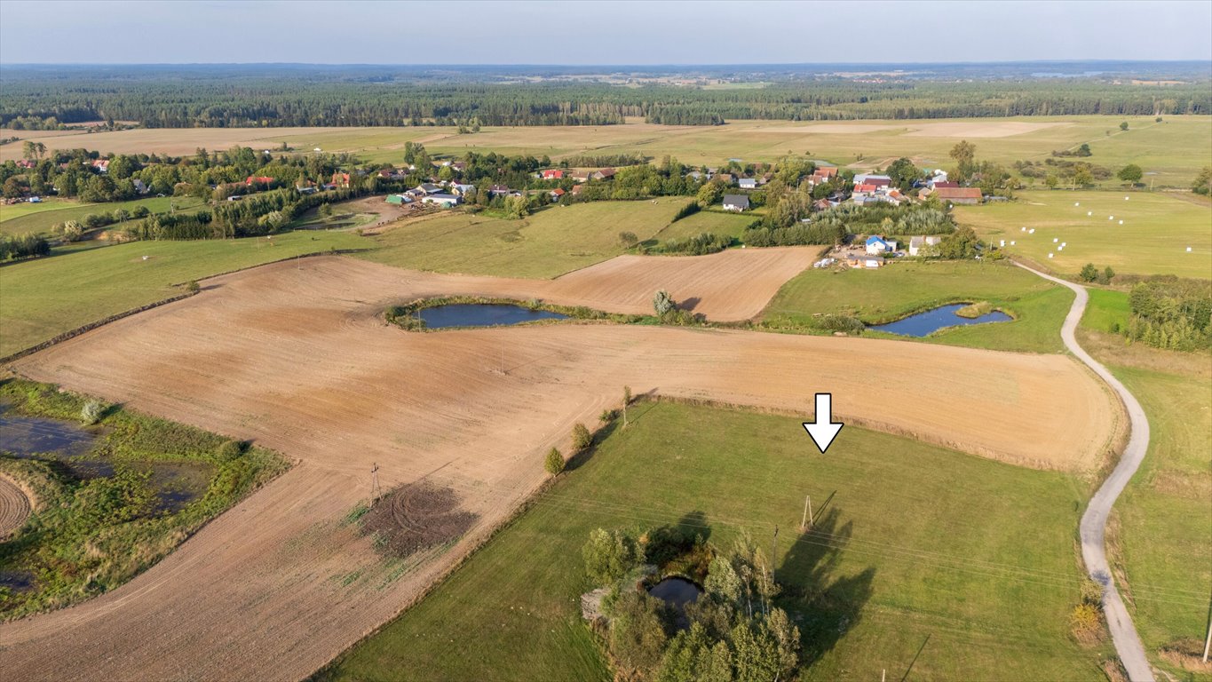 Działka rolna na sprzedaż Olszewki  13 200m2 Foto 5