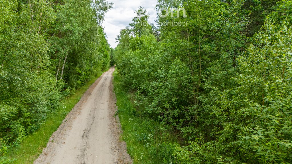 Działka budowlana na sprzedaż Ludwików  3 000m2 Foto 8