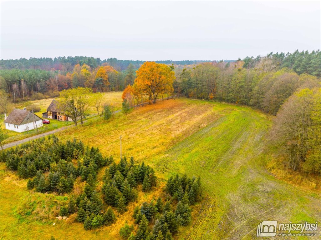 Działka budowlana na sprzedaż Węgorza, Wieś  1 500m2 Foto 2