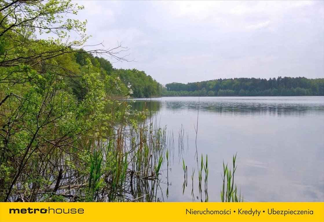 Działka siedliskowa na sprzedaż Pąchy  14 200m2 Foto 13