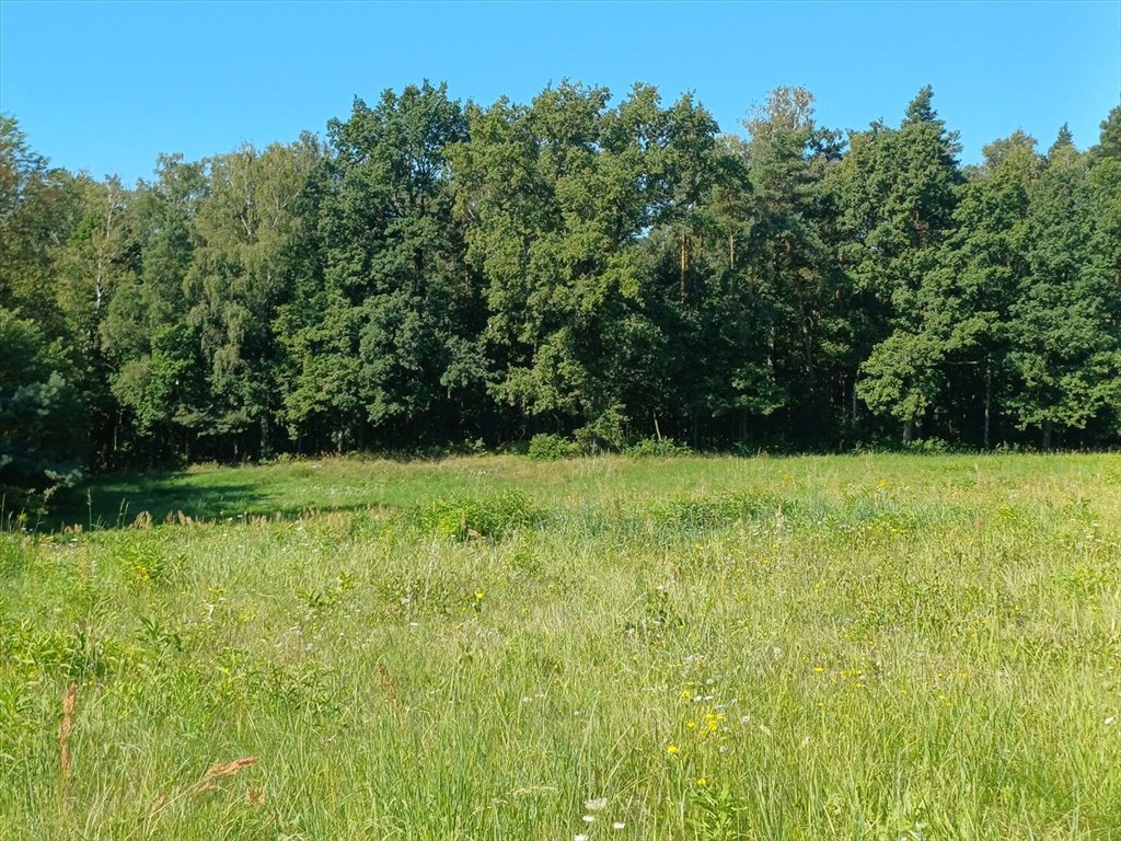 Działka 2445 m² przy lesie, plan mieszkaniowy, inwestycja Górki  2 445m2 Foto 1