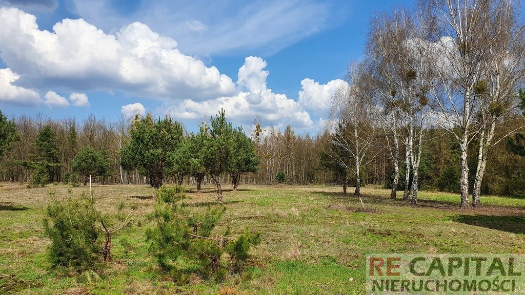 Działka budowlana na sprzedaż Szymanówek  3 300m2 Foto 5