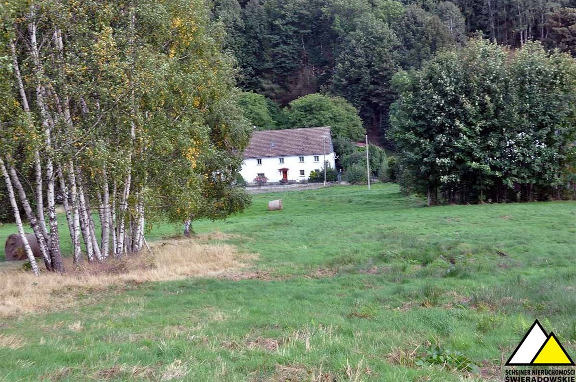 Działka budowlana na sprzedaż Gierczyn  2 500m2 Foto 4