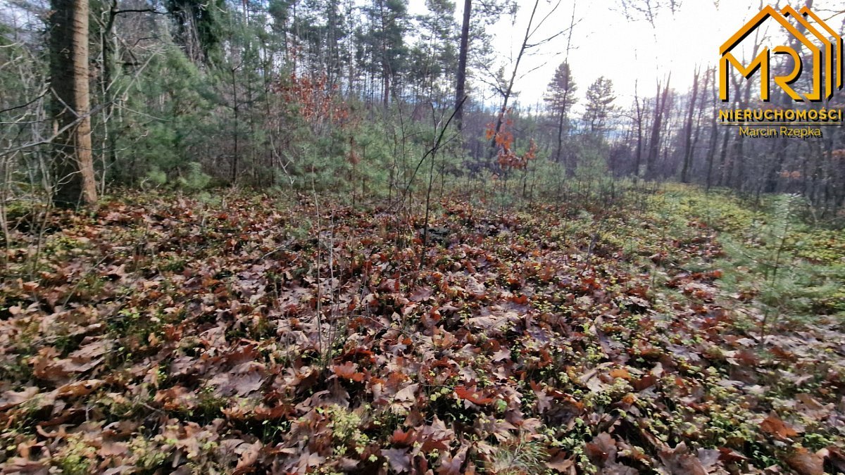 Działka rolna na sprzedaż Stare Żukowice  2 200m2 Foto 15