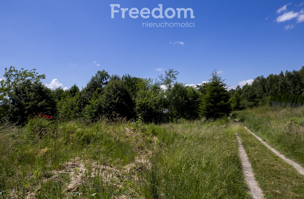 Działka budowlana na sprzedaż Kielnarowa  6 287m2 Foto 14