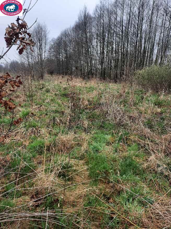 Działka 4000 m² pod zabudowę jednorodzinną, blisko Puszczy Grabina Radziwiłłowska  4 000m2 Foto 1