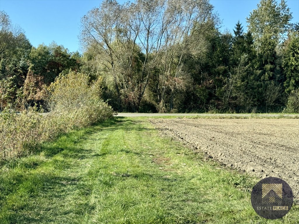 Działka inwestycyjna na sprzedaż Sieniawa  177 000m2 Foto 5