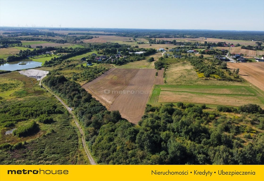 Działka rolna na sprzedaż Niekanin  19 000m2 Foto 7