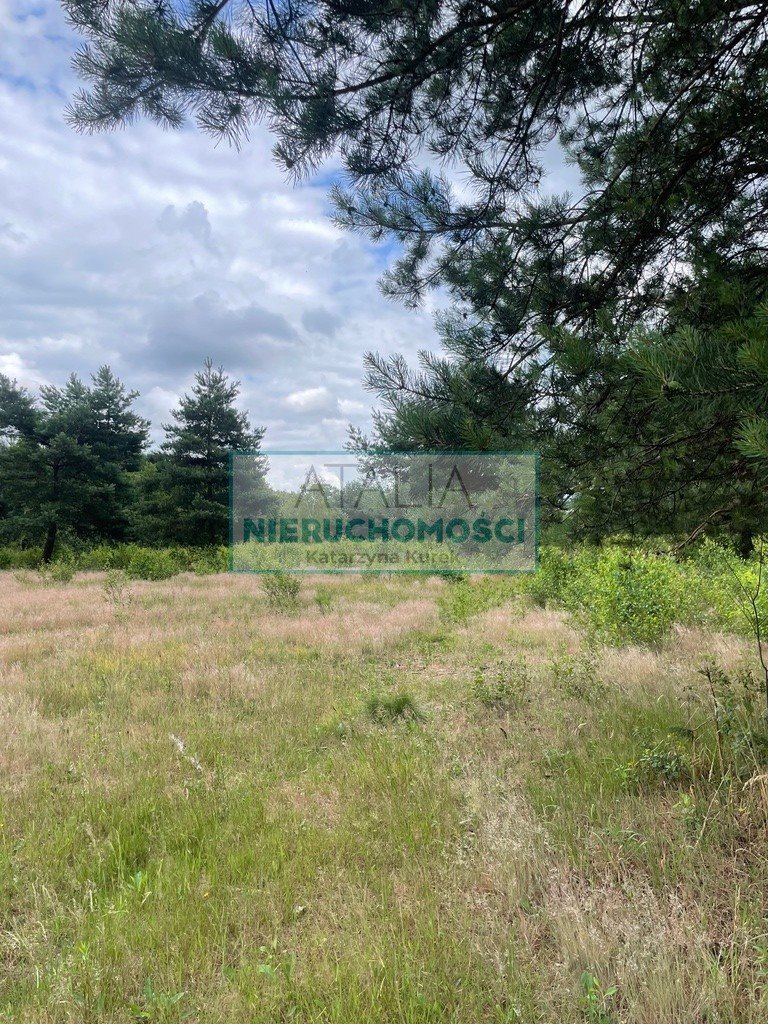 Na sprzedaż działka 3000 m² w Franciszkowie z piękną okolicą Franciszków  3 000m2 Foto 1