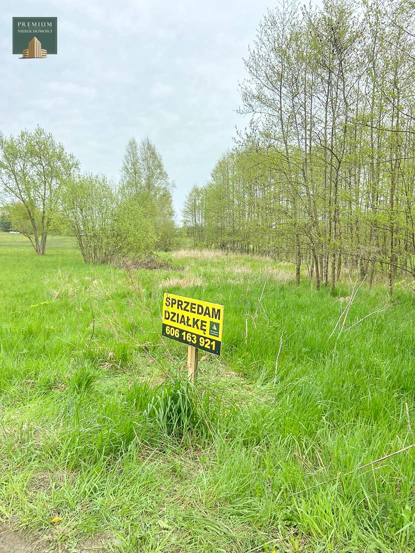 Działka rolna na sprzedaż Czarna Wieś Kościelna  3 800m2 Foto 1