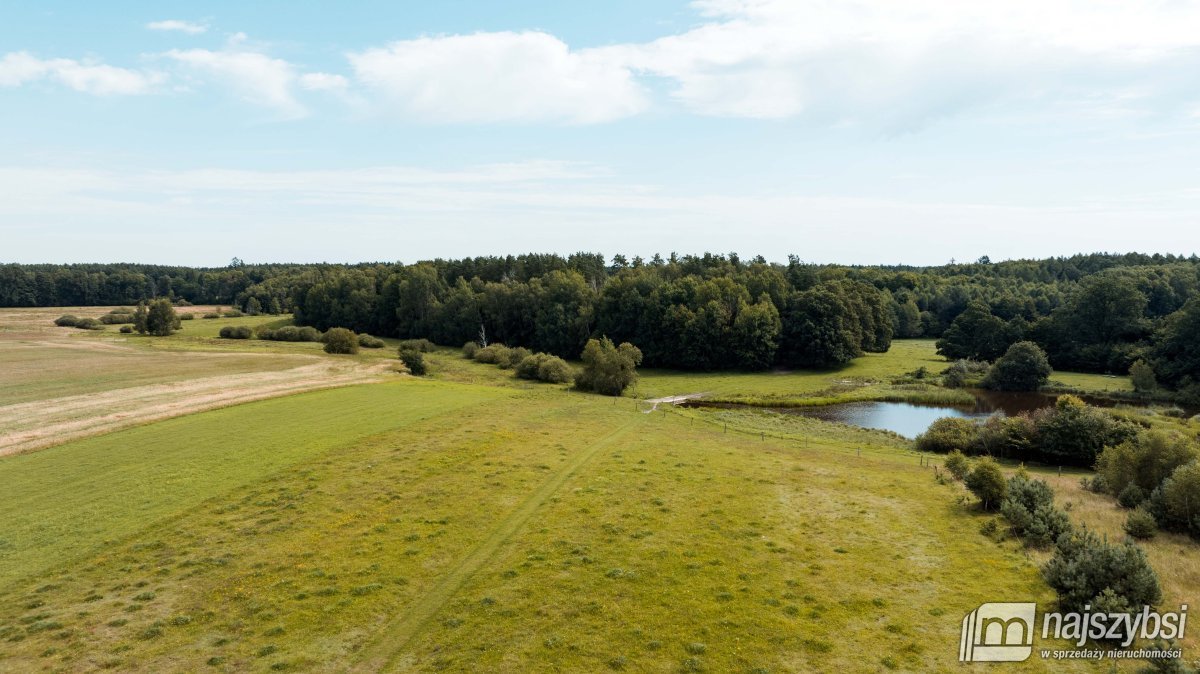 Działka rolna na sprzedaż Czermnica  17 100m2 Foto 12