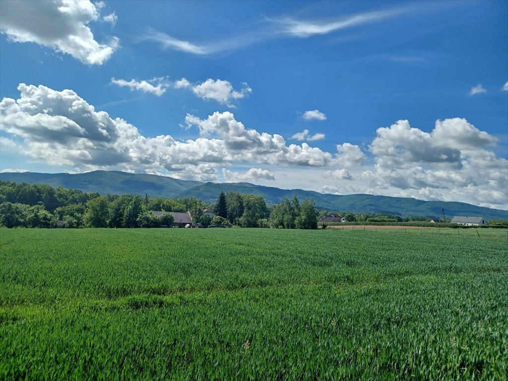 Działka budowlana na sprzedaż Międzyrzecze Górne  1 175m2 Foto 3