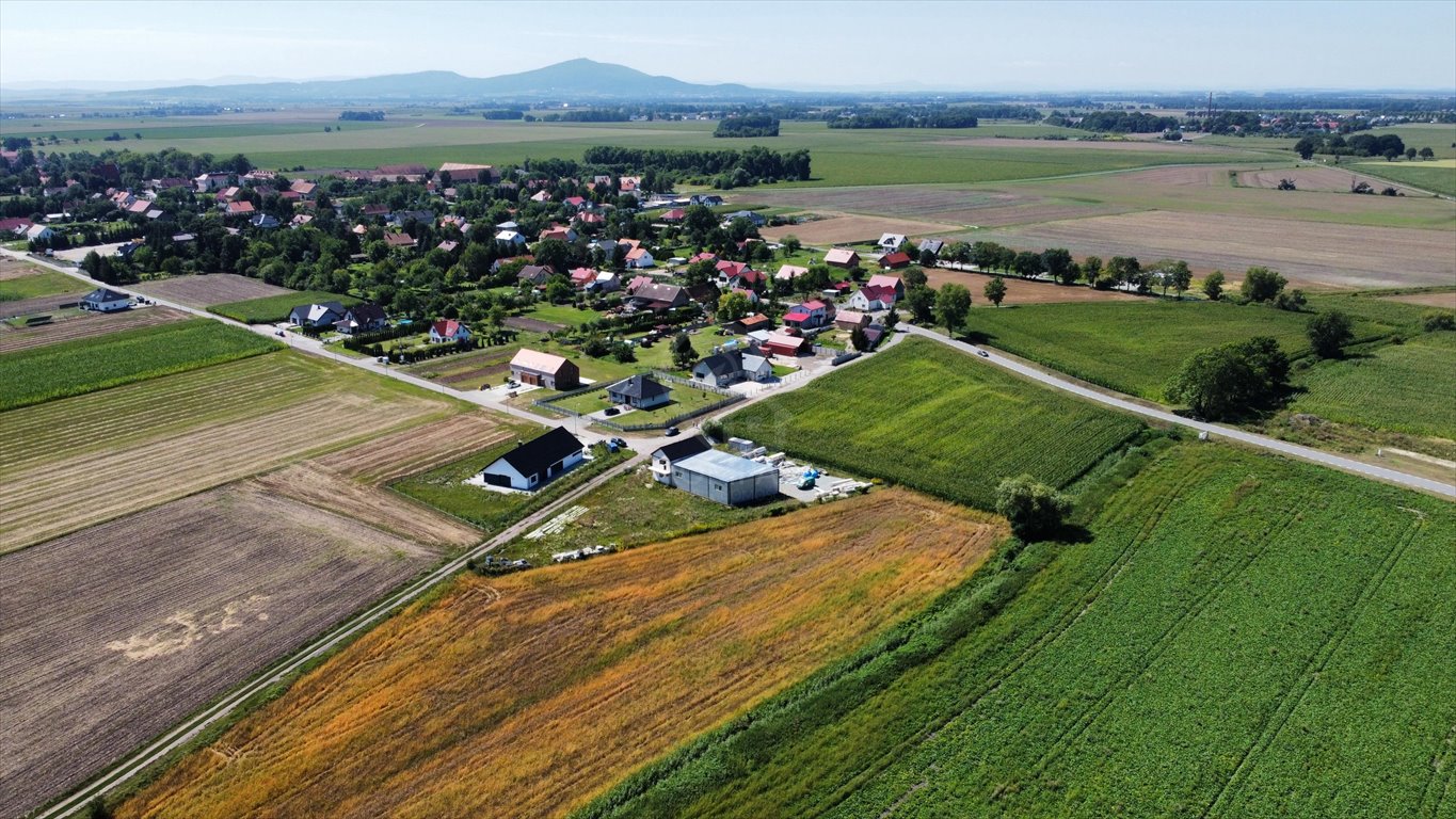 Działka komercyjna na sprzedaż Wierzbice, Lwowska  7 335m2 Foto 5