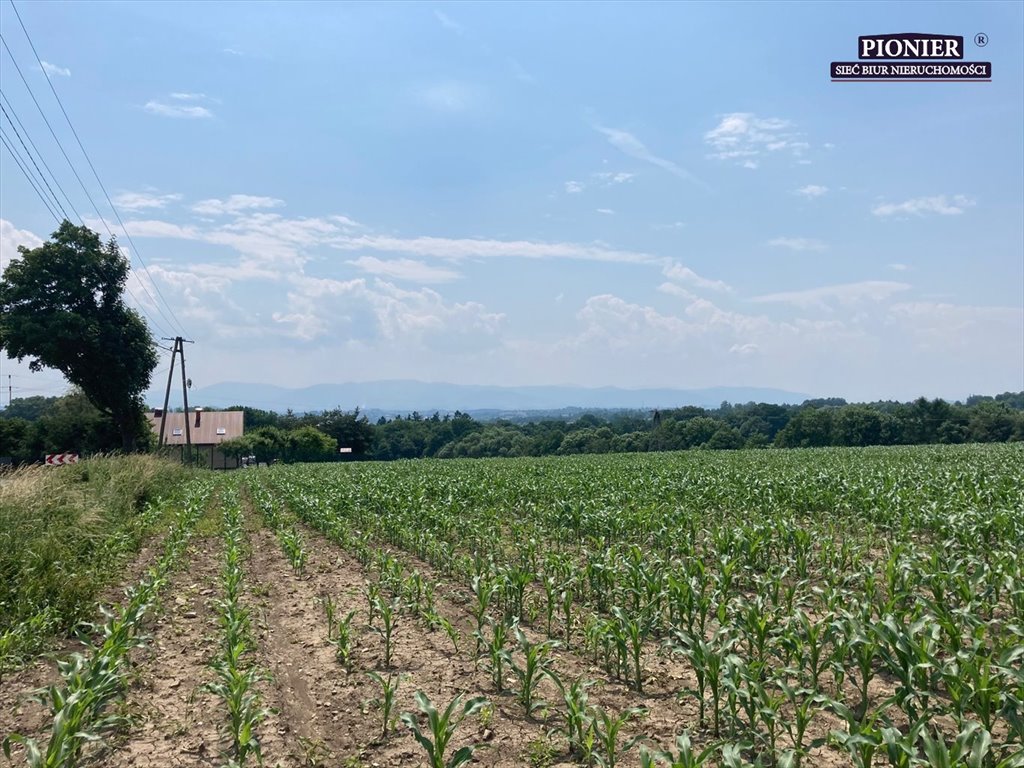 Działka budowlana na sprzedaż Zamarski  14 886m2 Foto 2